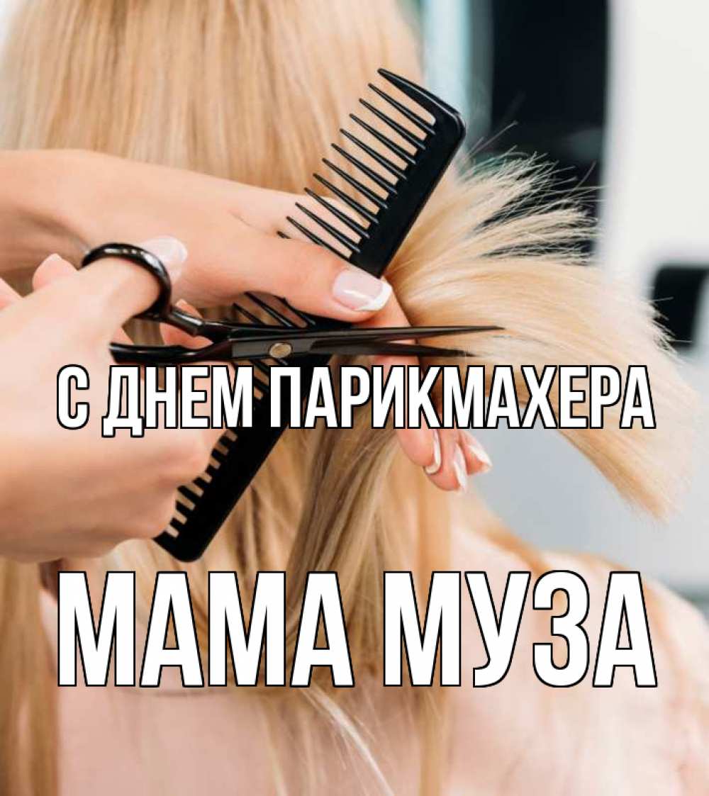Открытка на каждый день с именем, Мама-Муза С днем парикмахера подстригают человека  1 Прикольная открытка с пожеланием онлайн скачать бесплатно 