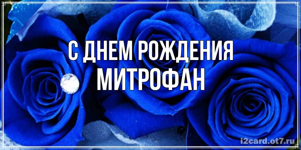 Открытка на каждый день с именем, Митрофан С днем рождения синие розы в росе Прикольная открытка с пожеланием онлайн скачать бесплатно 