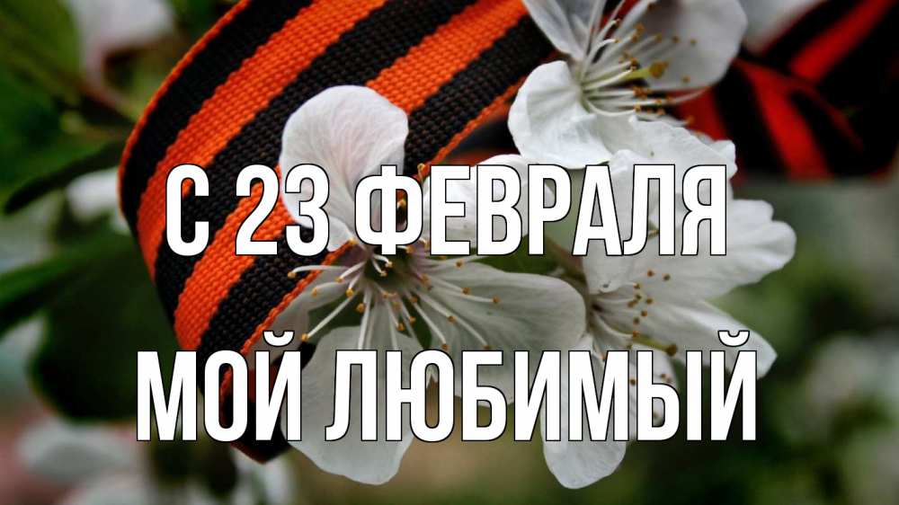 Открытка на каждый день с именем, Мой-Любимый С 23 февраля 23 февраля Прикольная открытка с пожеланием онлайн скачать бесплатно 