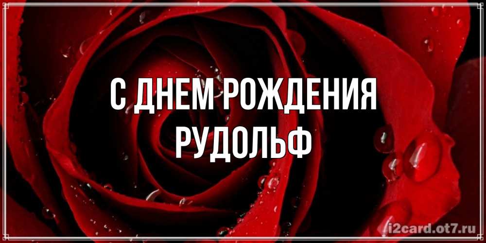 Открытка на каждый день с именем, Рудольф С днем рождения крупная бордовая роза Прикольная открытка с пожеланием онлайн скачать бесплатно 