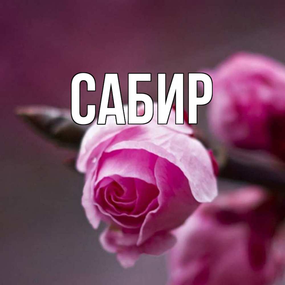 Открытка на каждый день с именем, Сабир Главная весна Прикольная открытка с пожеланием онлайн скачать бесплатно 