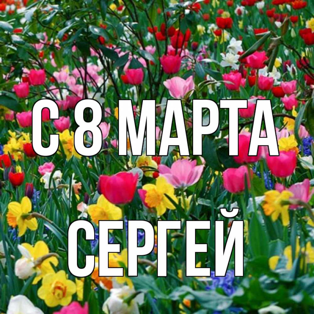 Открытка на каждый день с именем, Сергей С 8 МАРТА с международным женским днем поздравления для женщины Прикольная открытка с пожеланием онлайн скачать бесплатно 