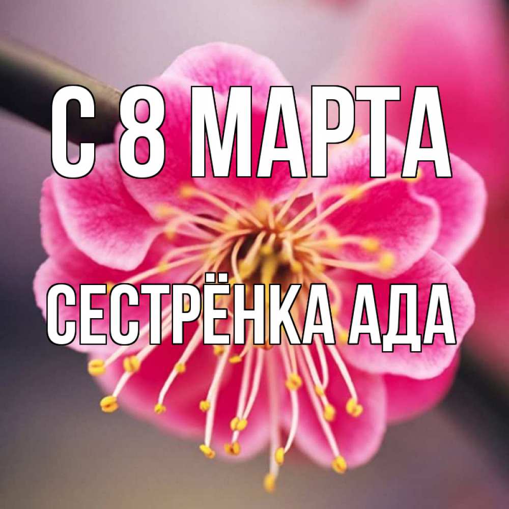 Открытка на каждый день с именем, Сестрёнка-Ада С 8 МАРТА цветы Прикольная открытка с пожеланием онлайн скачать бесплатно 