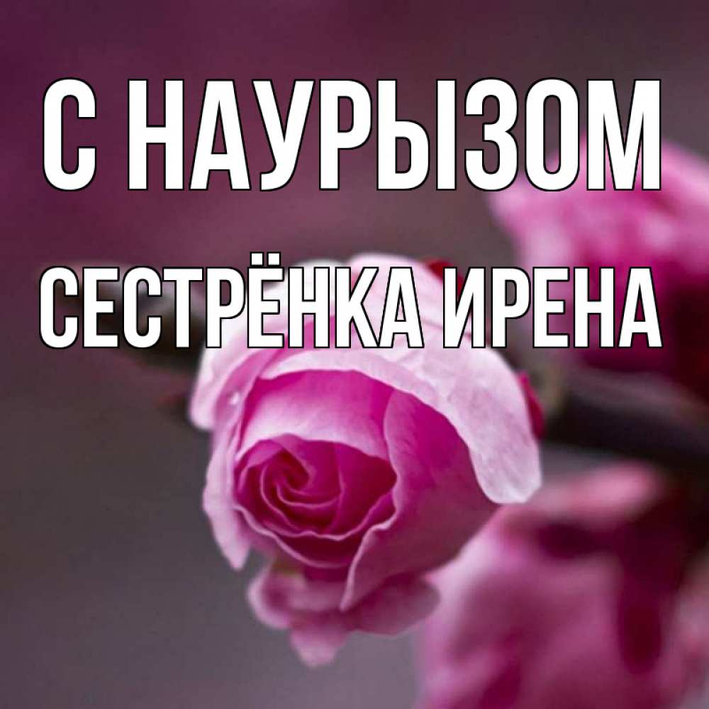Открытка на каждый день с именем, Сестрёнка-Ирена С наурызом весна Прикольная открытка с пожеланием онлайн скачать бесплатно 