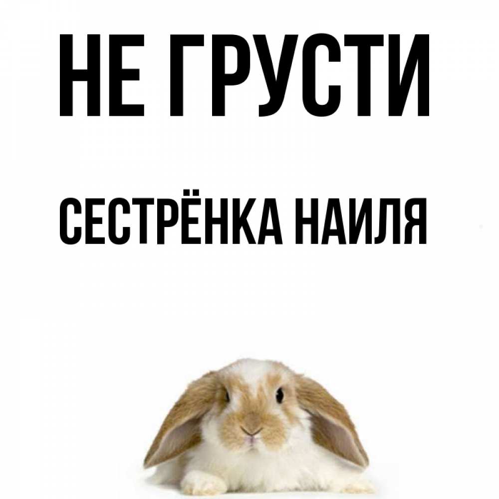 Открытка на каждый день с именем, Сестрёнка-Наиля Не грусти коричнево белый заяц с большими ушками Прикольная открытка с пожеланием онлайн скачать бесплатно 