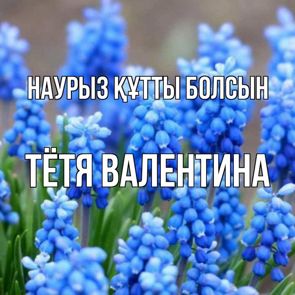Открытка на каждый день с именем, Тётя-Валентина Наурыз құтты болсын Поздравительная открытка для женщин с цветами на праздничную дату Прикольная открытка с пожеланием онлайн скачать бесплатно 