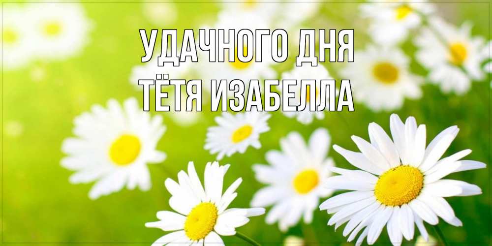 Открытка на каждый день с именем, Тётя-Изабелла Удачного дня открытка с ромашками на зеленом фоне Прикольная открытка с пожеланием онлайн скачать бесплатно 