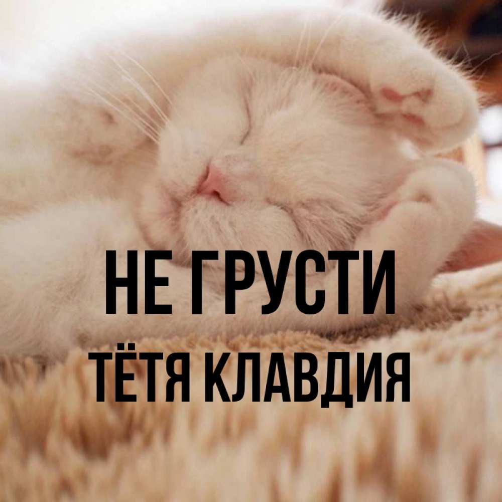 Открытка на каждый день с именем, Тётя-Клавдия Не грусти Котенок спит Прикольная открытка с пожеланием онлайн скачать бесплатно 
