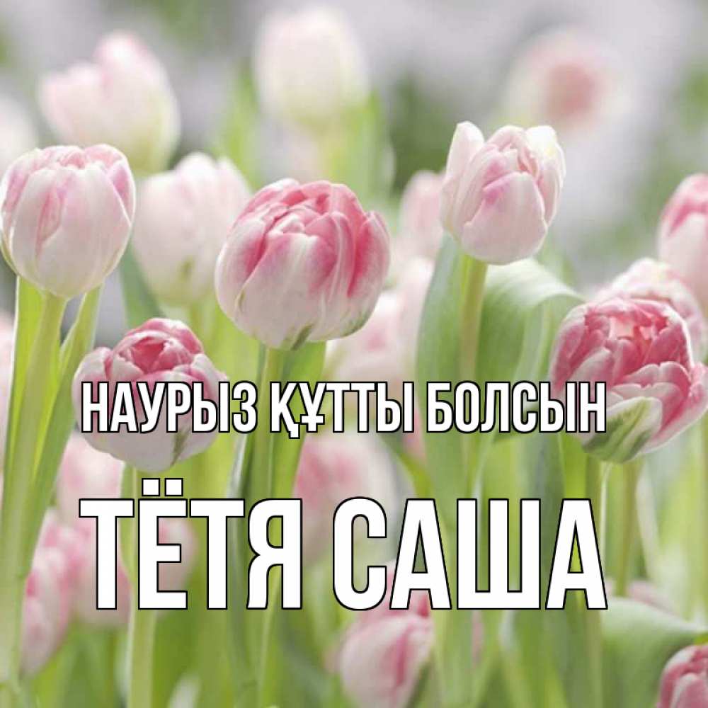 Открытка на каждый день с именем, Тётя-Саша Наурыз құтты болсын цветы Прикольная открытка с пожеланием онлайн скачать бесплатно 