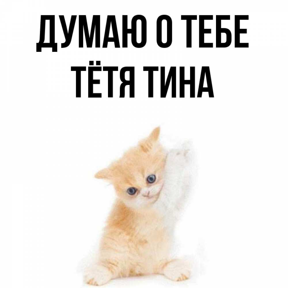 Открытка на каждый день с именем, Тётя-Тина Думаю о тебе зверушки и милота Прикольная открытка с пожеланием онлайн скачать бесплатно 
