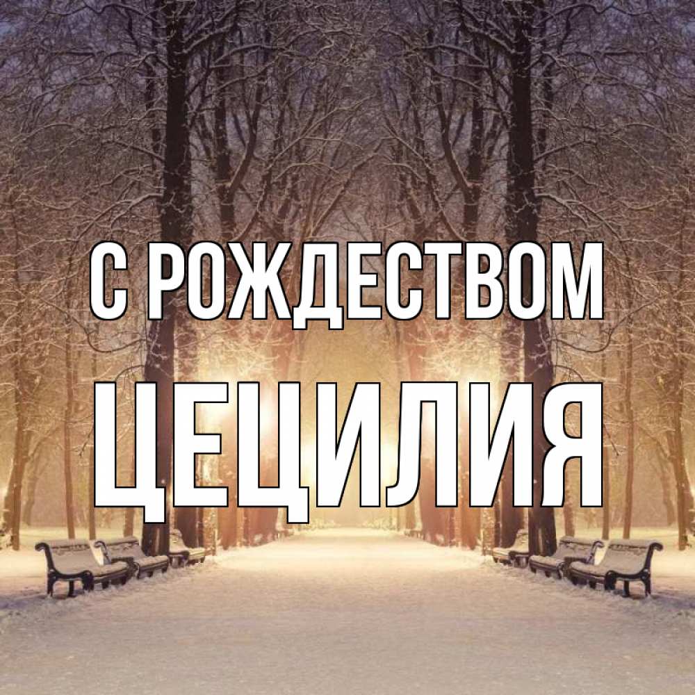 Открытка на каждый день с именем, Цецилия С рождеством зима, парк, фонарь, лес Прикольная открытка с пожеланием онлайн скачать бесплатно 