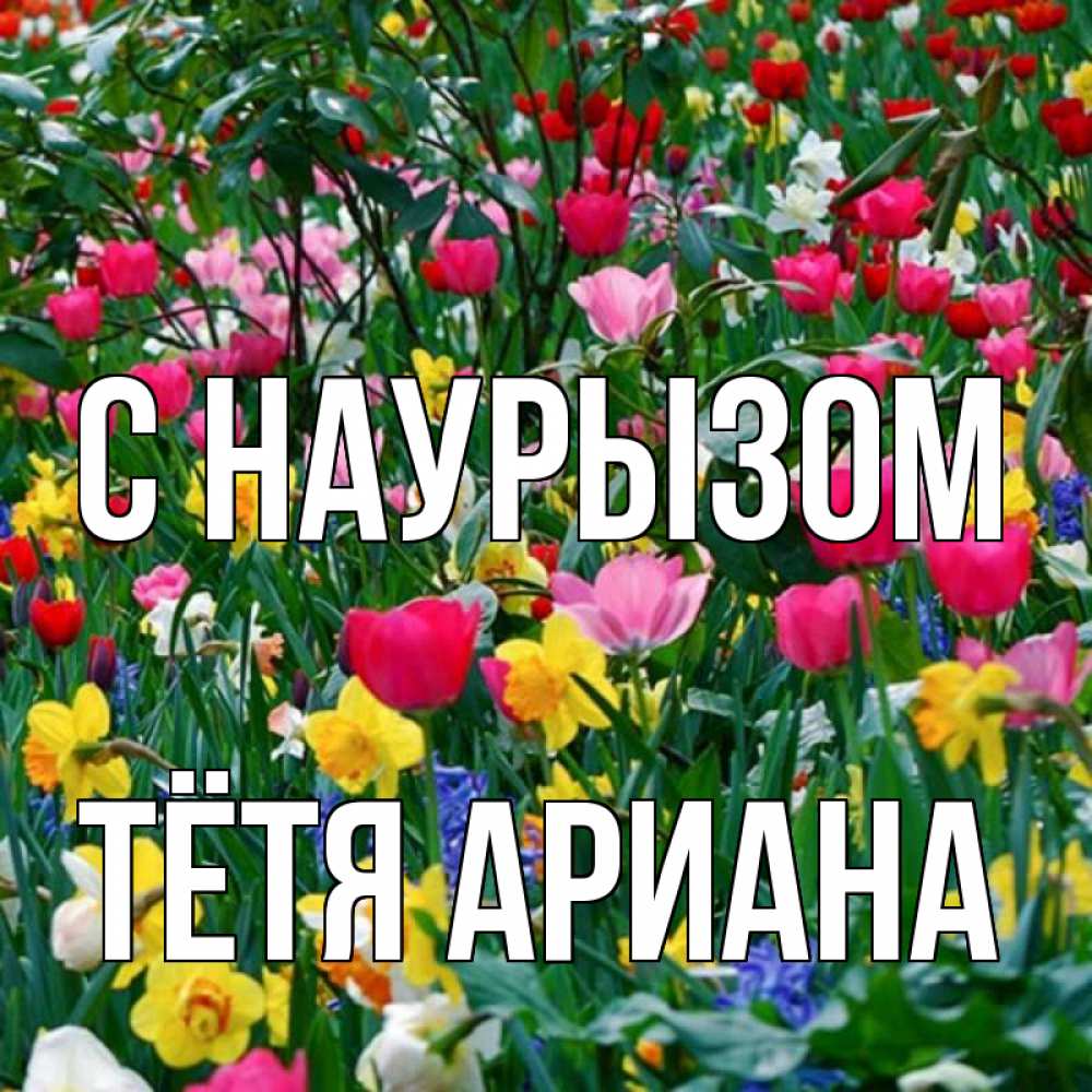 Открытка на каждый день с именем, Тётя-Ариана С наурызом с наурызом праздником весны поздравления для женщины Прикольная открытка с пожеланием онлайн скачать бесплатно 