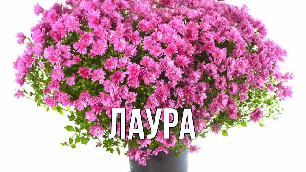 Картинка  с именем , Лаура