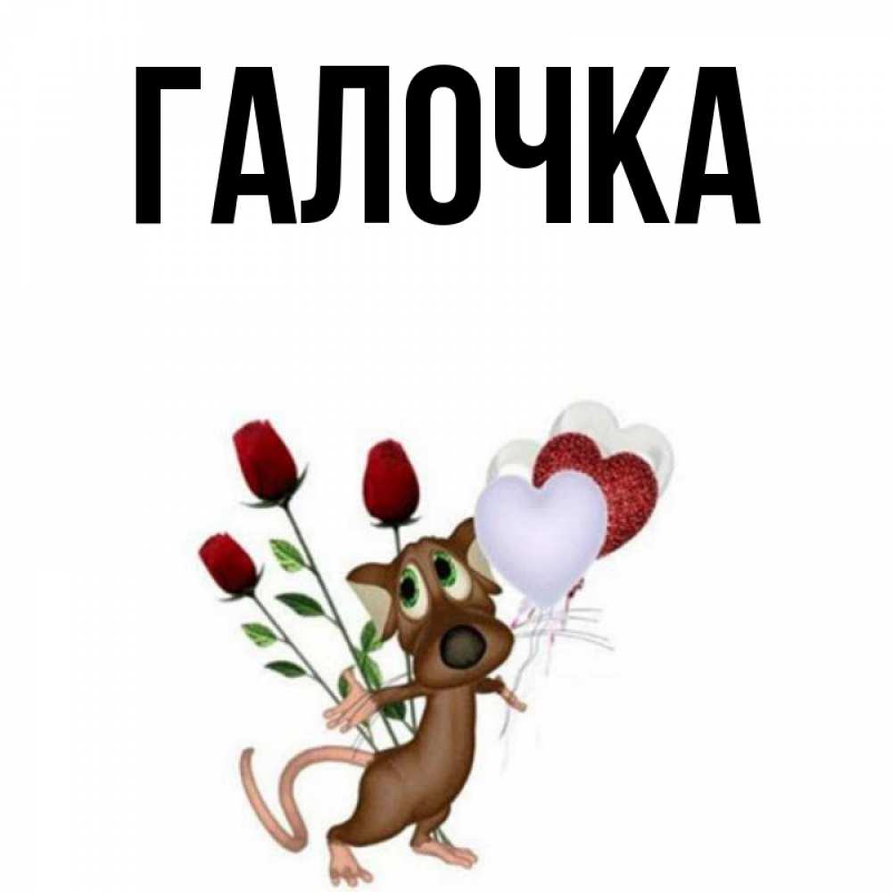 Открытка на каждый день с именем, Галочка Главная песик с шариками в форме сердец Прикольная открытка с пожеланием онлайн скачать бесплатно 