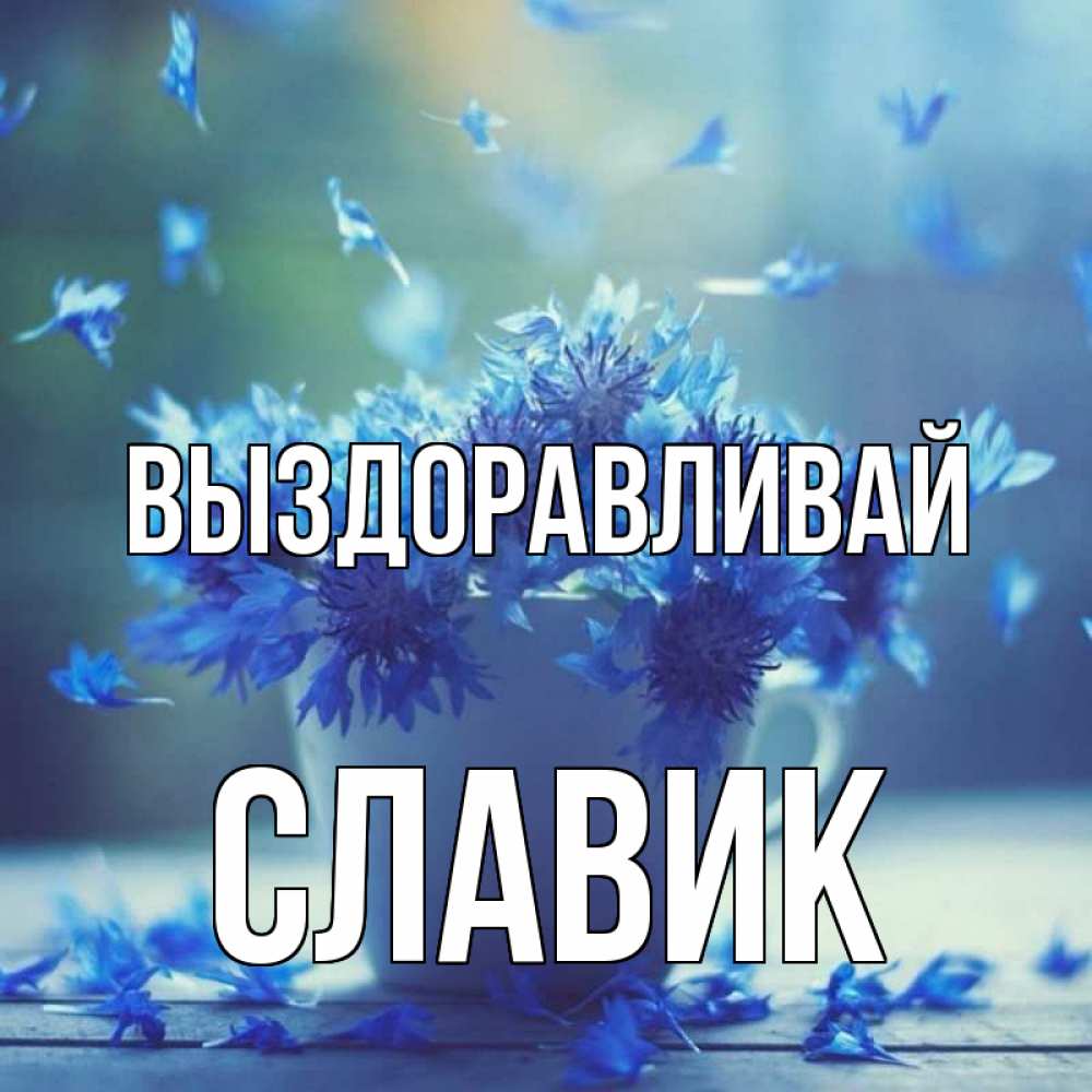 Открытка на каждый день с именем, Славик Выздоравливай кружка с зельем и цветами Прикольная открытка с пожеланием онлайн скачать бесплатно 