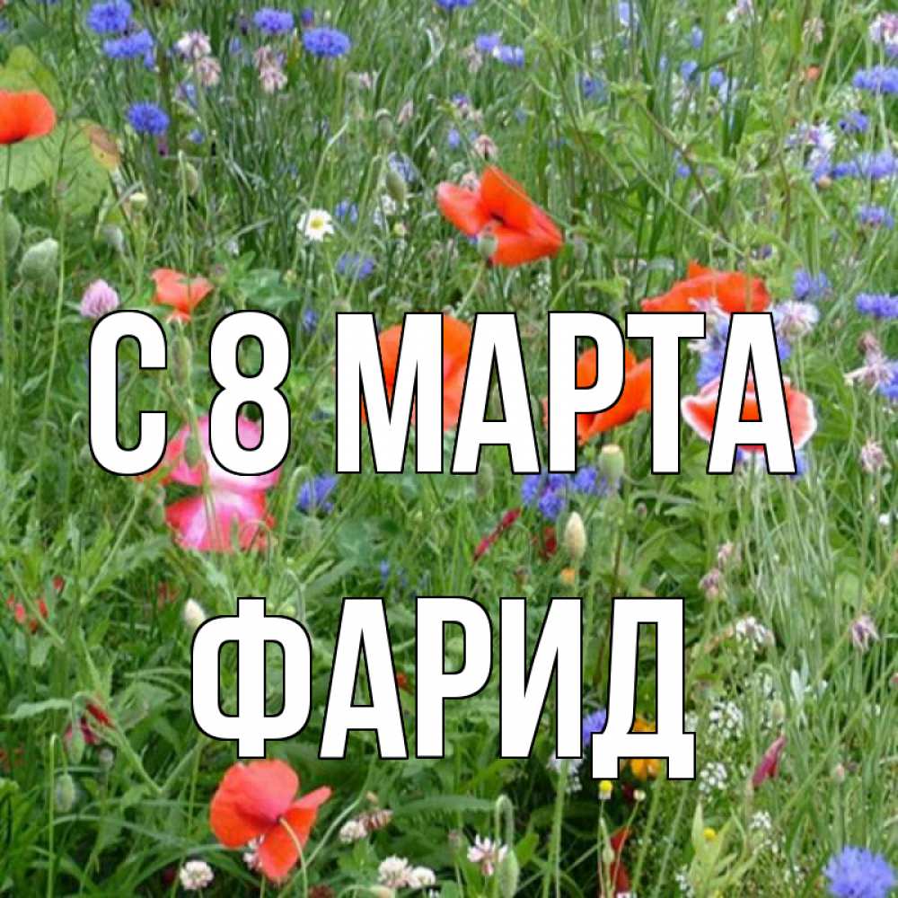 Открытка на каждый день с именем, Фарид С 8 МАРТА международный женский день 4 Прикольная открытка с пожеланием онлайн скачать бесплатно 