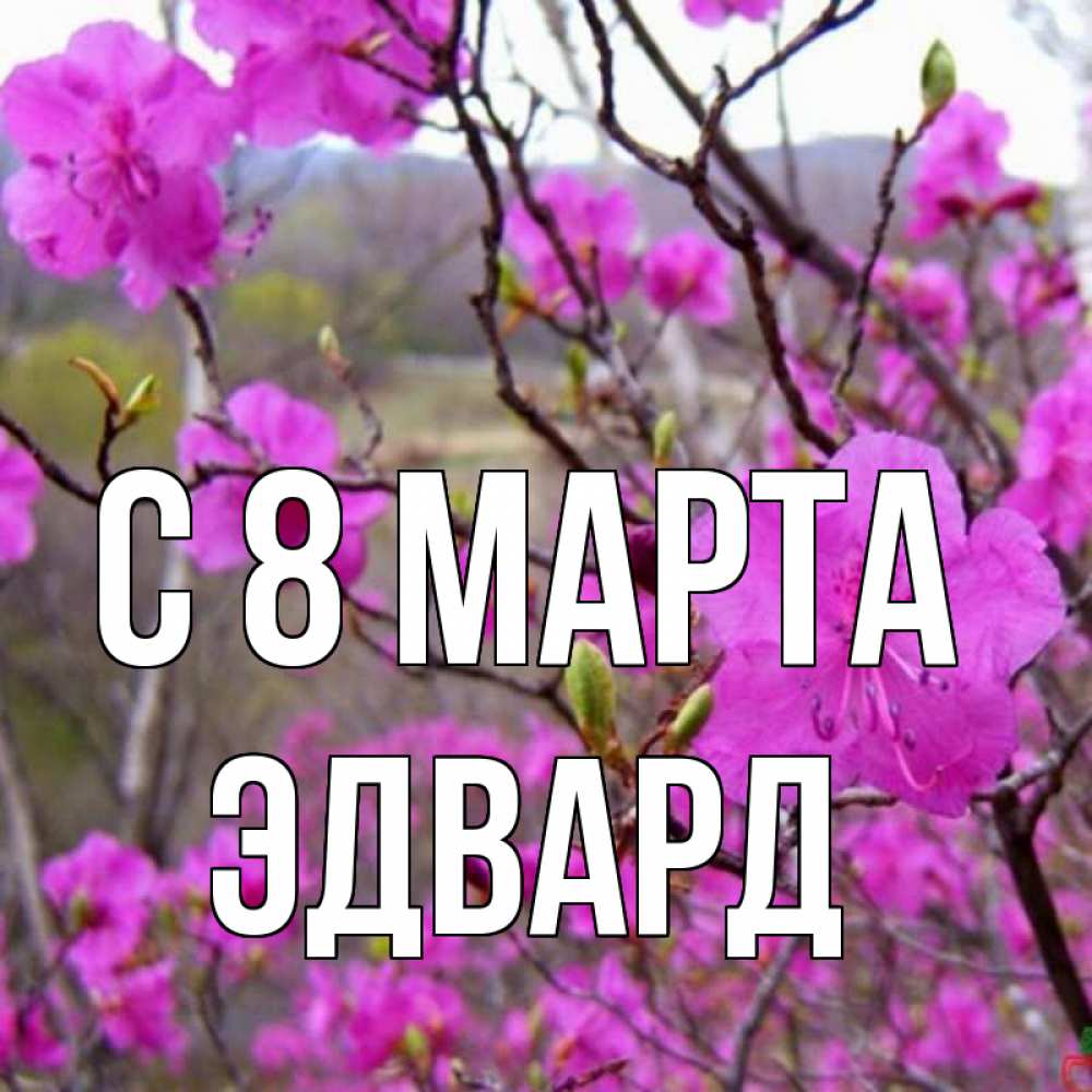Открытка на каждый день с именем, Эдвард С 8 марта международный женский день Прикольная открытка с пожеланием онлайн скачать бесплатно 