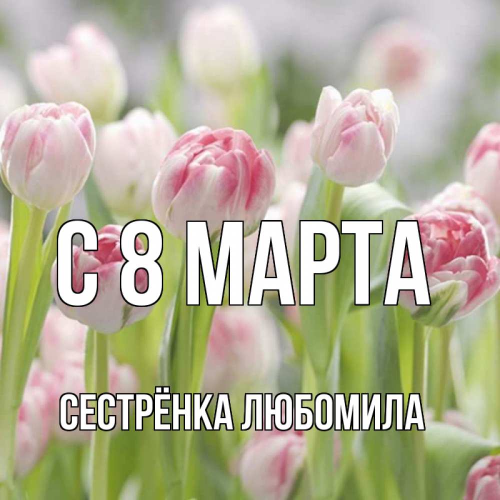 Открытка на каждый день с именем, Сестрёнка-Любомила С 8 МАРТА цветы Прикольная открытка с пожеланием онлайн скачать бесплатно 