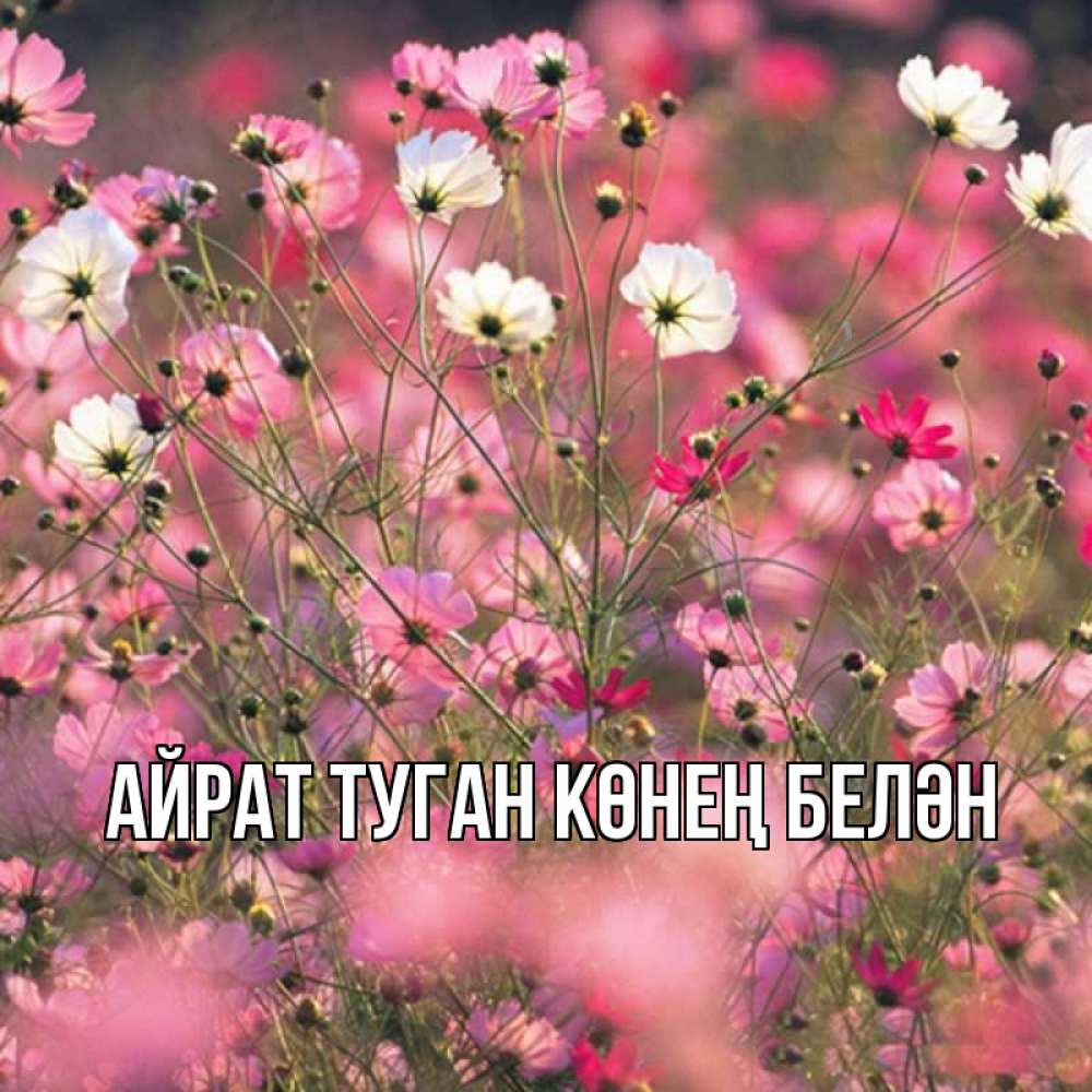 Открытка на каждый день с именем, Айрат-туган-көнең-белән Главная красиво 1 Прикольная открытка с пожеланием онлайн скачать бесплатно 