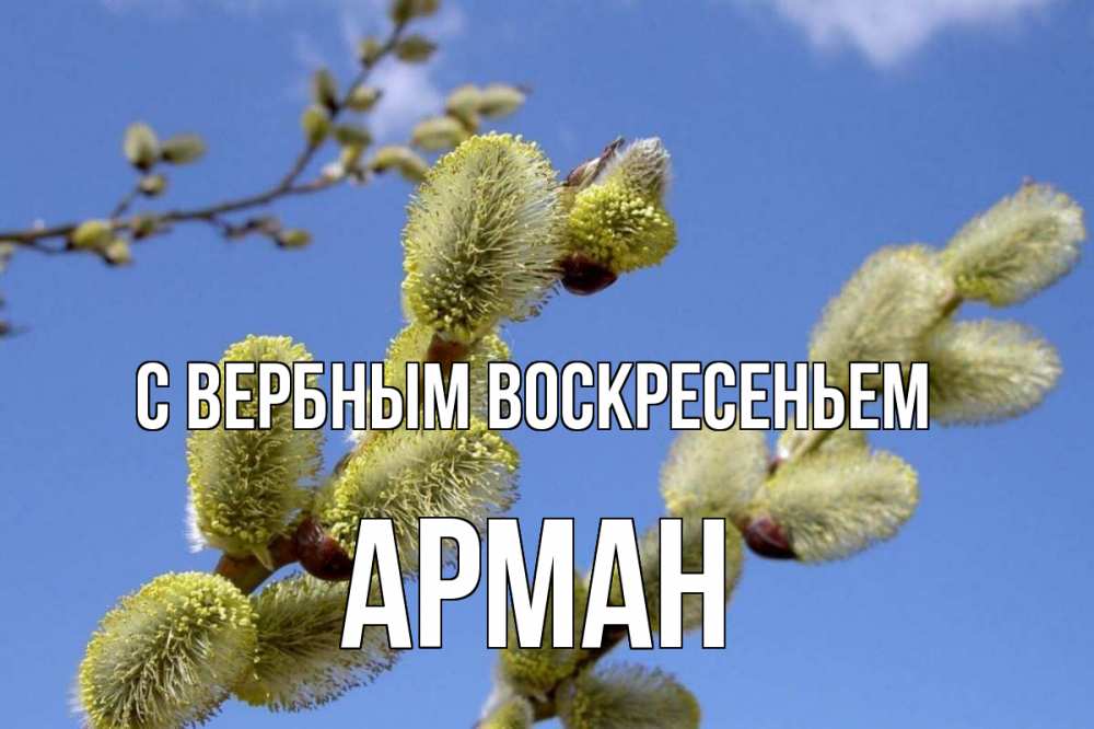 Открытка на каждый день с именем, Арман С вербным воскресеньем верба Прикольная открытка с пожеланием онлайн скачать бесплатно 