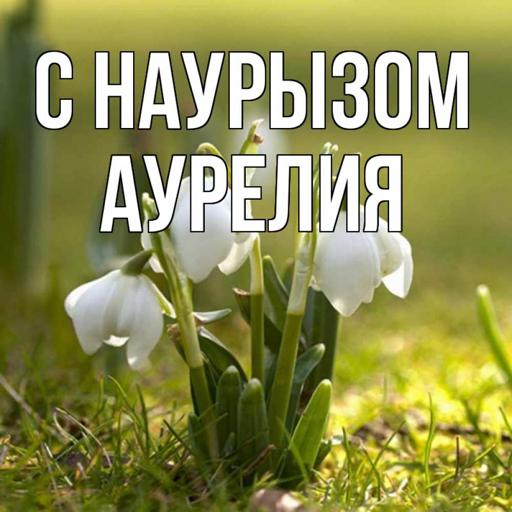 Открытка на каждый день с именем, Аурелия С наурызом ранние цветы 2 Прикольная открытка с пожеланием онлайн скачать бесплатно 