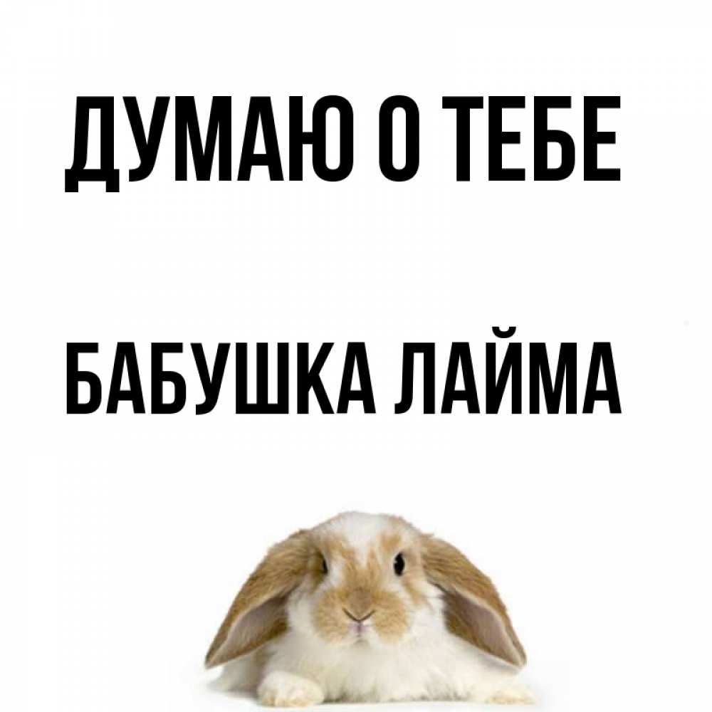 Открытка на каждый день с именем, Бабушка-Лайма Думаю о тебе подписать своими руками онлайн Прикольная открытка с пожеланием онлайн скачать бесплатно 