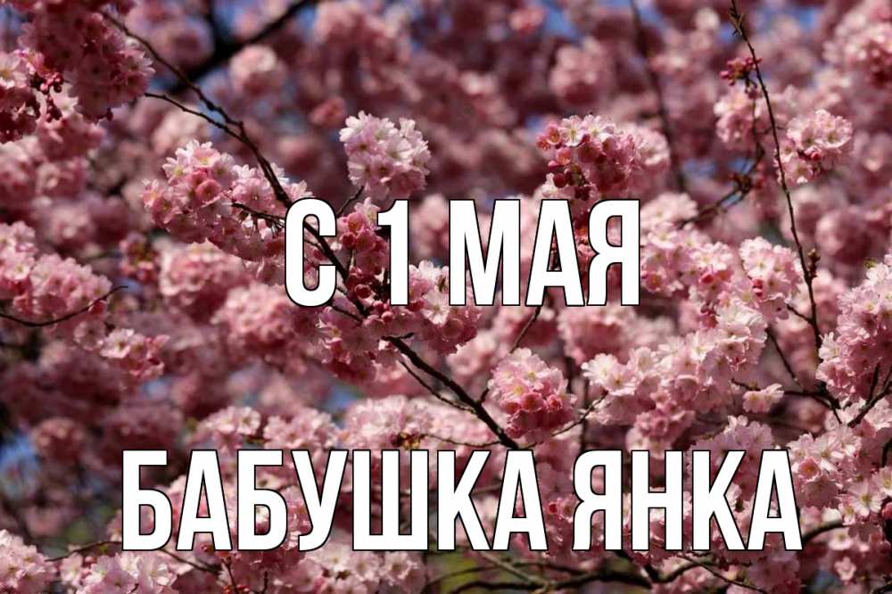 Открытка на каждый день с именем, Бабушка-Янка С 1 мая С 1 мая Прикольная открытка с пожеланием онлайн скачать бесплатно 