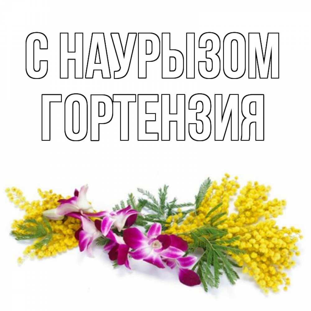 Открытка на каждый день с именем, Гортензия С наурызом открытка на международный женский день с цветами  1 Прикольная открытка с пожеланием онлайн скачать бесплатно 
