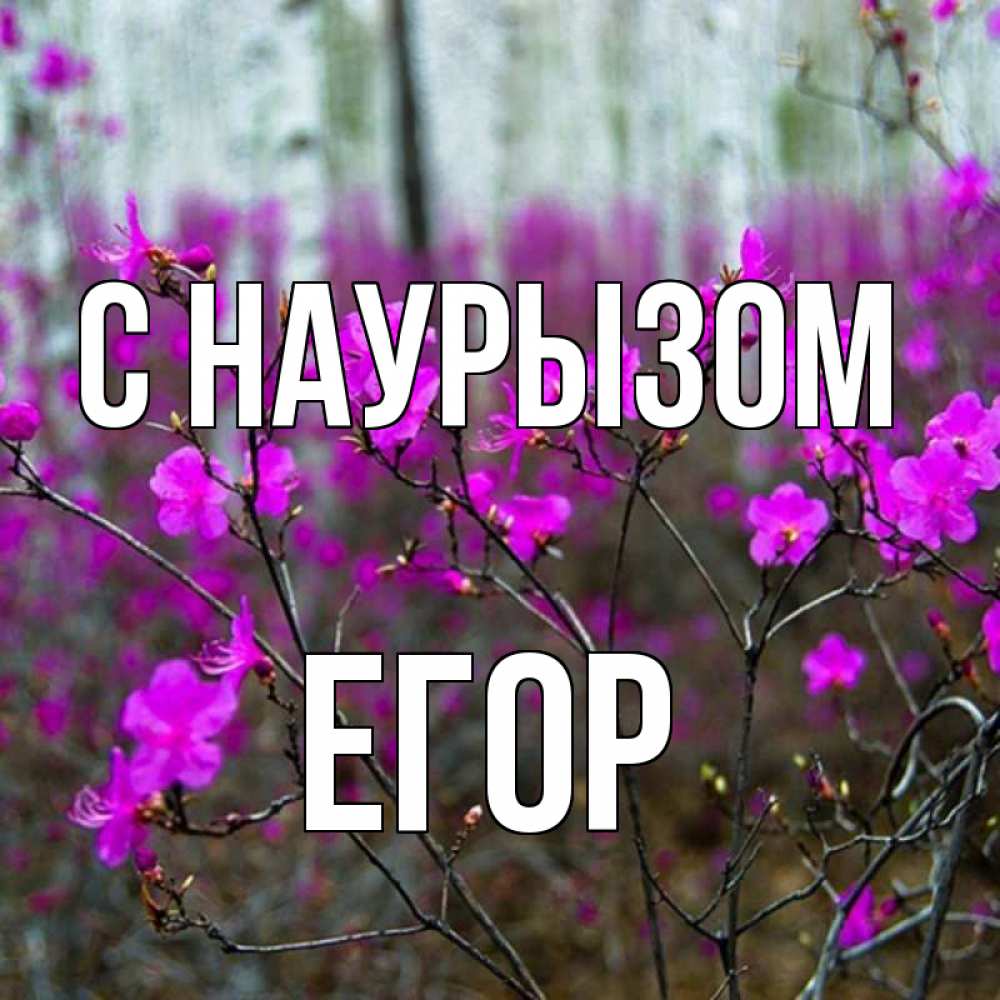 Открытка на каждый день с именем, Егор С наурызом дикие цветы Прикольная открытка с пожеланием онлайн скачать бесплатно 