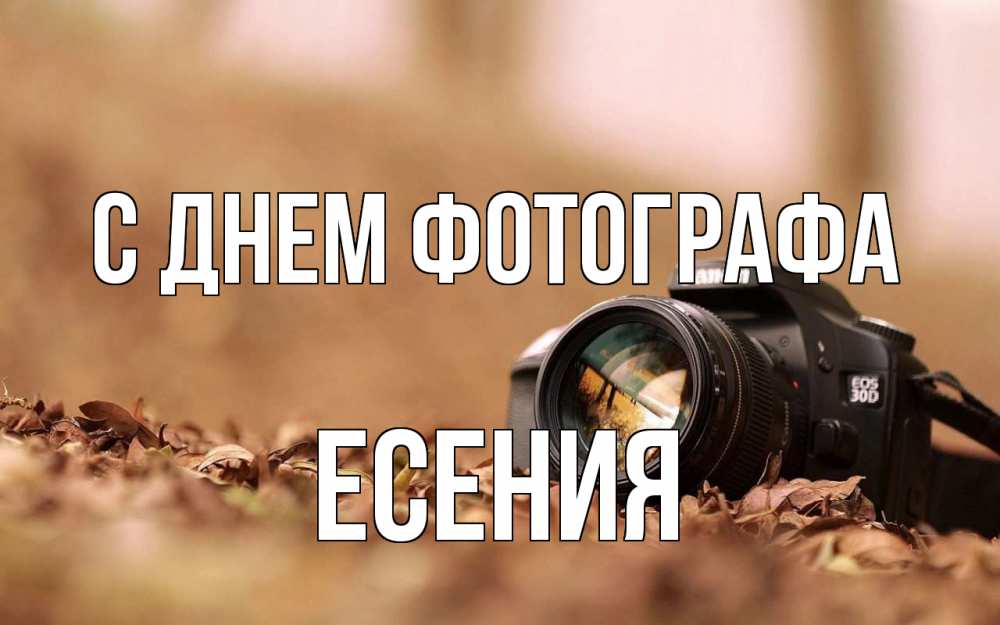 Открытка на каждый день с именем, Есения С днем фотографа с днем фотографа Прикольная открытка с пожеланием онлайн скачать бесплатно 