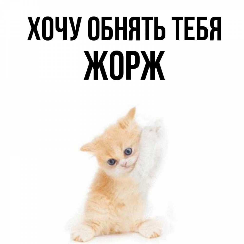 Открытка на каждый день с именем, Жорж Хочу обнять тебя я хочу очень скорее обнимаешек Прикольная открытка с пожеланием онлайн скачать бесплатно 