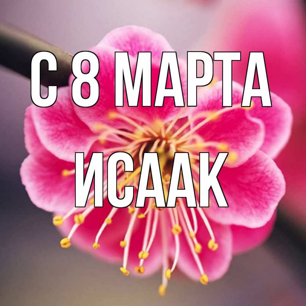 Открытка на каждый день с именем, Исаак С 8 МАРТА цветы Прикольная открытка с пожеланием онлайн скачать бесплатно 