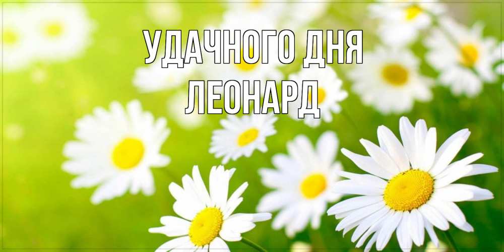 Открытка на каждый день с именем, Леонард Удачного дня открытка с ромашками на зеленом фоне Прикольная открытка с пожеланием онлайн скачать бесплатно 