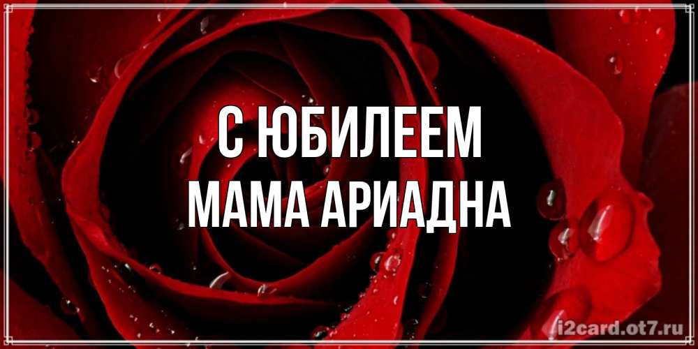 Открытка на каждый день с именем, Мама-Ариадна С юбилеем крупная бордовая роза Прикольная открытка с пожеланием онлайн скачать бесплатно 