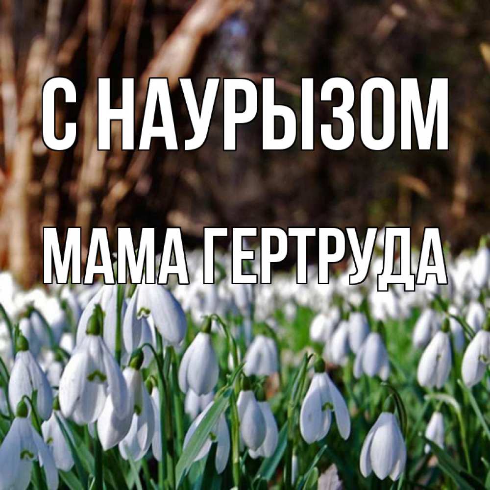 Открытка на каждый день с именем, Мама-Гертруда С наурызом с подснежниками 1 Прикольная открытка с пожеланием онлайн скачать бесплатно 