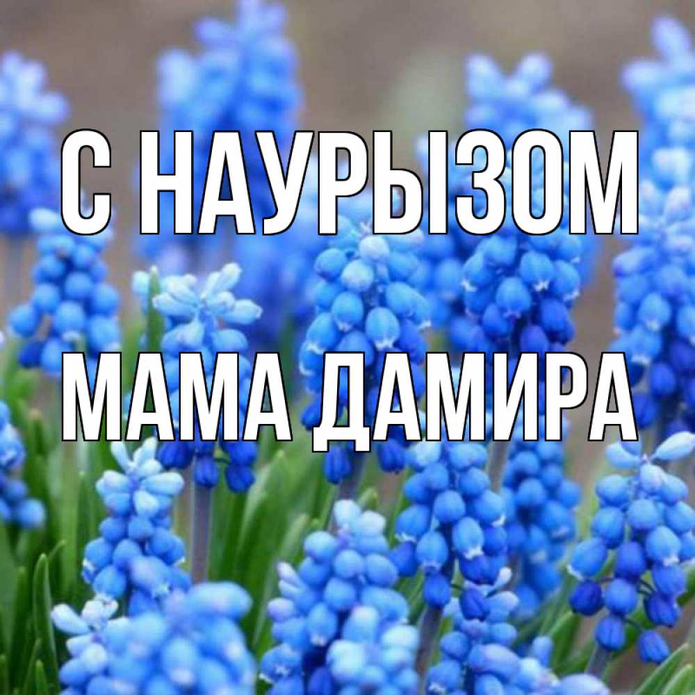 Открытка на каждый день с именем, Мама-Дамира С наурызом Поздравительная открытка для женщин с цветами на праздничную дату Прикольная открытка с пожеланием онлайн скачать бесплатно 