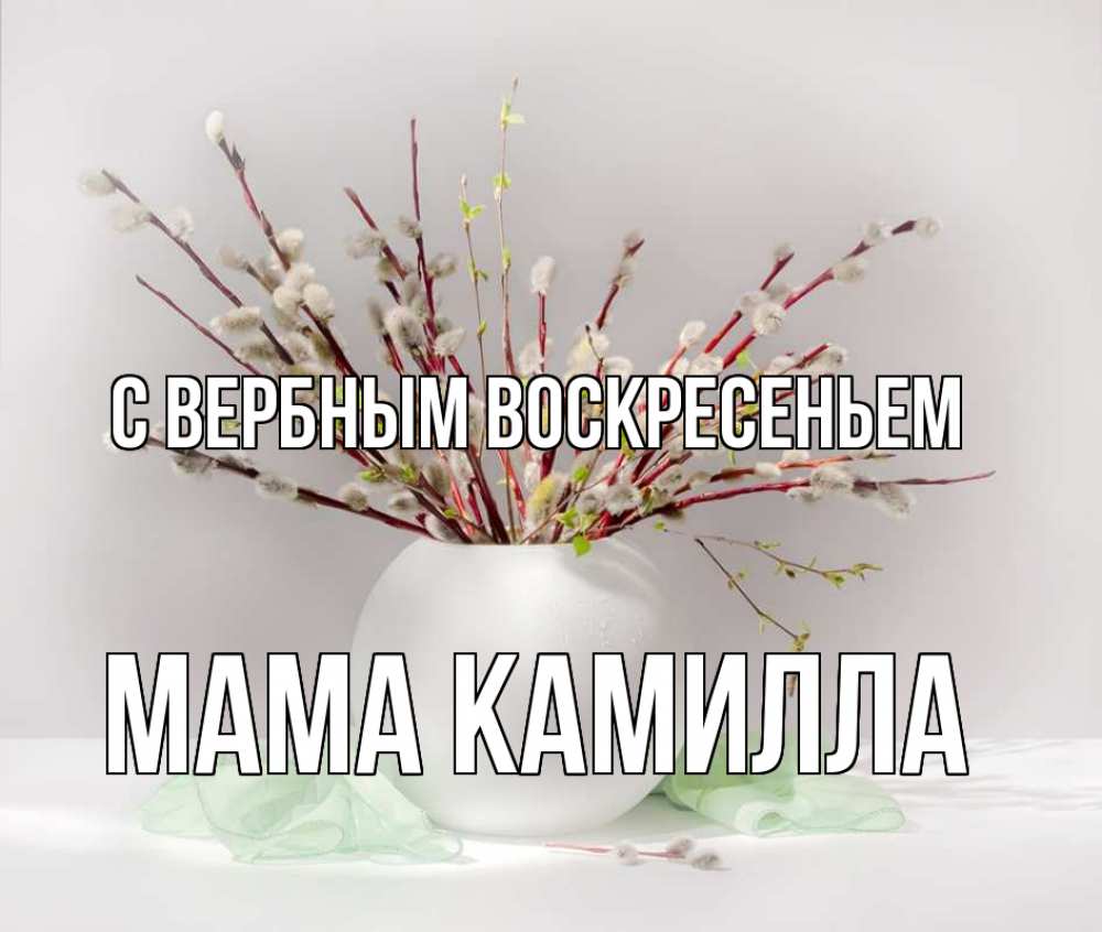 Открытка на каждый день с именем, Мама-Камилла С вербным воскресеньем верба Прикольная открытка с пожеланием онлайн скачать бесплатно 