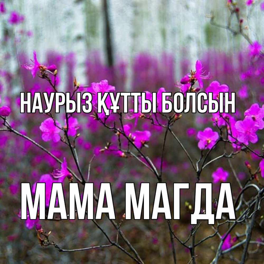 Открытка на каждый день с именем, Мама-Магда Наурыз құтты болсын дикие цветы Прикольная открытка с пожеланием онлайн скачать бесплатно 