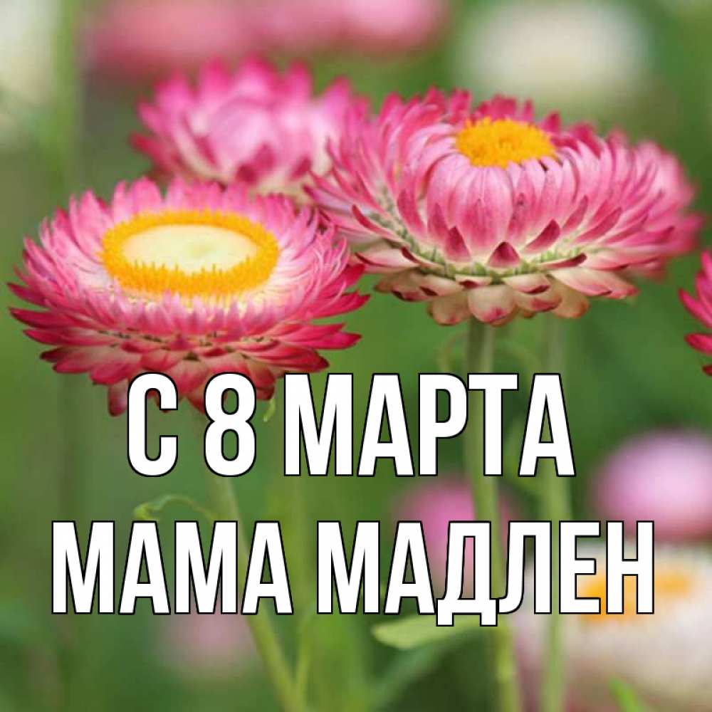 Открытка на каждый день с именем, Мама-Мадлен С 8 марта подарок на международный женский день Прикольная открытка с пожеланием онлайн скачать бесплатно 