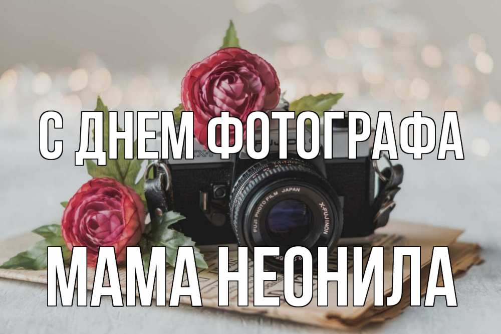 Открытка на каждый день с именем, Мама-Неонила С днем фотографа с днем фотографа Прикольная открытка с пожеланием онлайн скачать бесплатно 