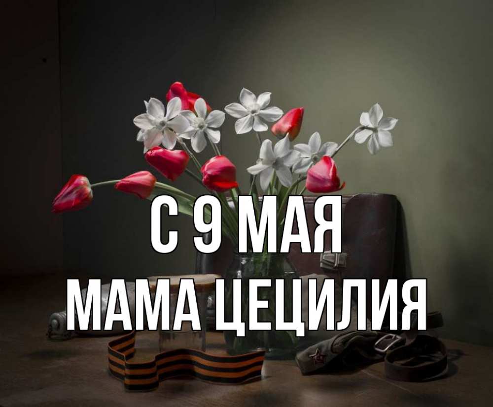 Открытка на каждый день с именем, Мама-Цецилия С 9 мая 9 мая Прикольная открытка с пожеланием онлайн скачать бесплатно 
