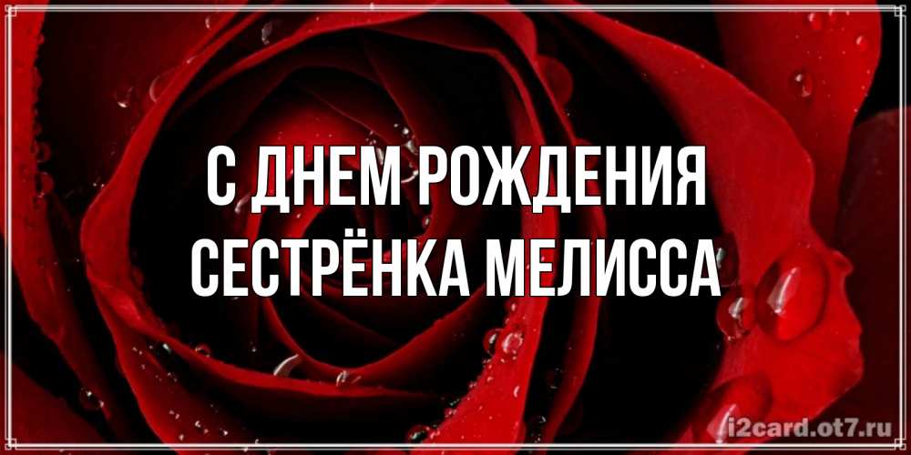 Открытка на каждый день с именем, Сестрёнка-Мелисса С днем рождения крупная бордовая роза Прикольная открытка с пожеланием онлайн скачать бесплатно 