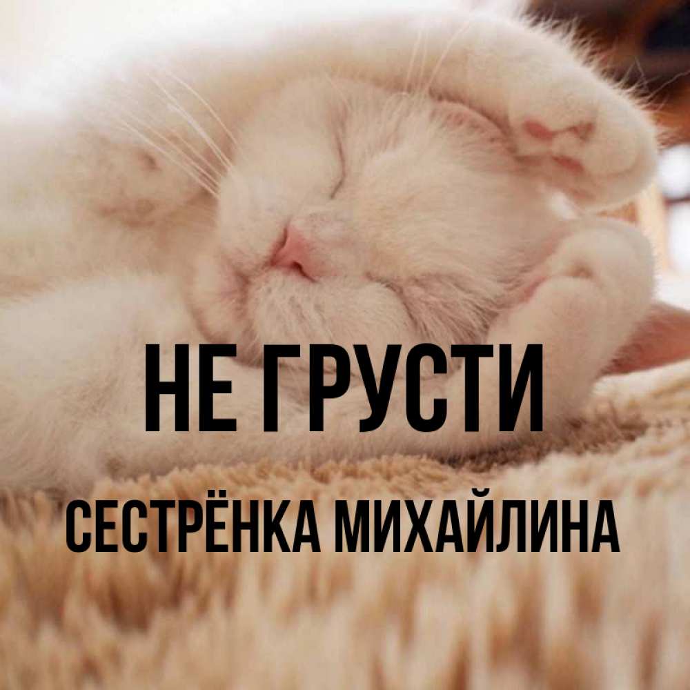 Открытка на каждый день с именем, Сестрёнка-Михайлина Не грусти Котенок спит Прикольная открытка с пожеланием онлайн скачать бесплатно 