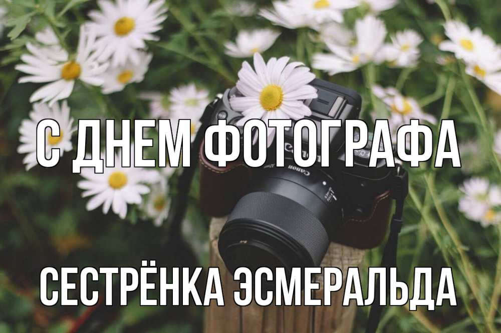 Открытка на каждый день с именем, Сестрёнка-Эсмеральда С днем фотографа с днем фотографа Прикольная открытка с пожеланием онлайн скачать бесплатно 