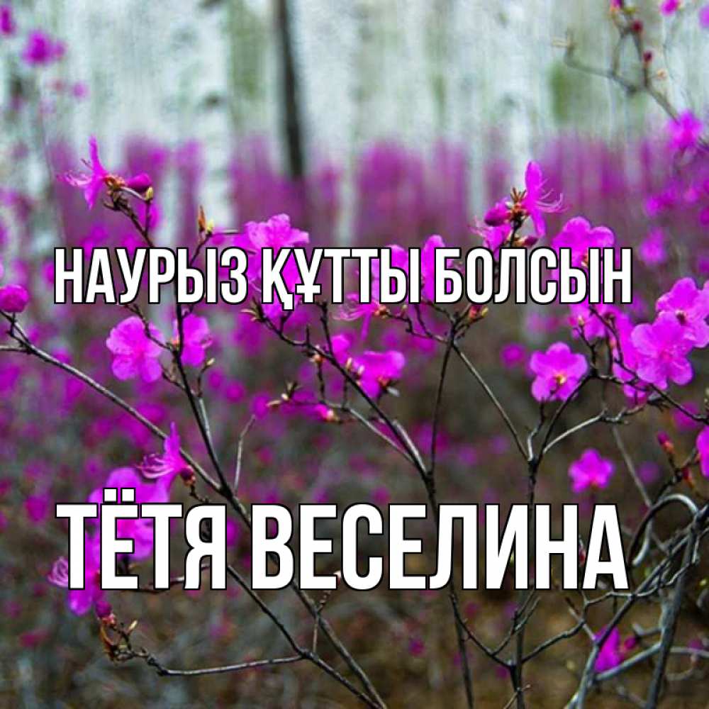 Открытка на каждый день с именем, Тётя-Веселина Наурыз құтты болсын дикие цветы Прикольная открытка с пожеланием онлайн скачать бесплатно 