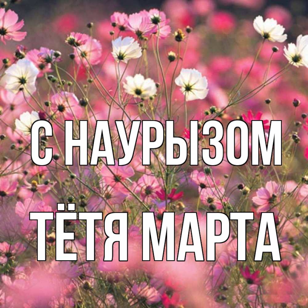 Открытка на каждый день с именем, Тётя-Марта С наурызом красиво 1 Прикольная открытка с пожеланием онлайн скачать бесплатно 