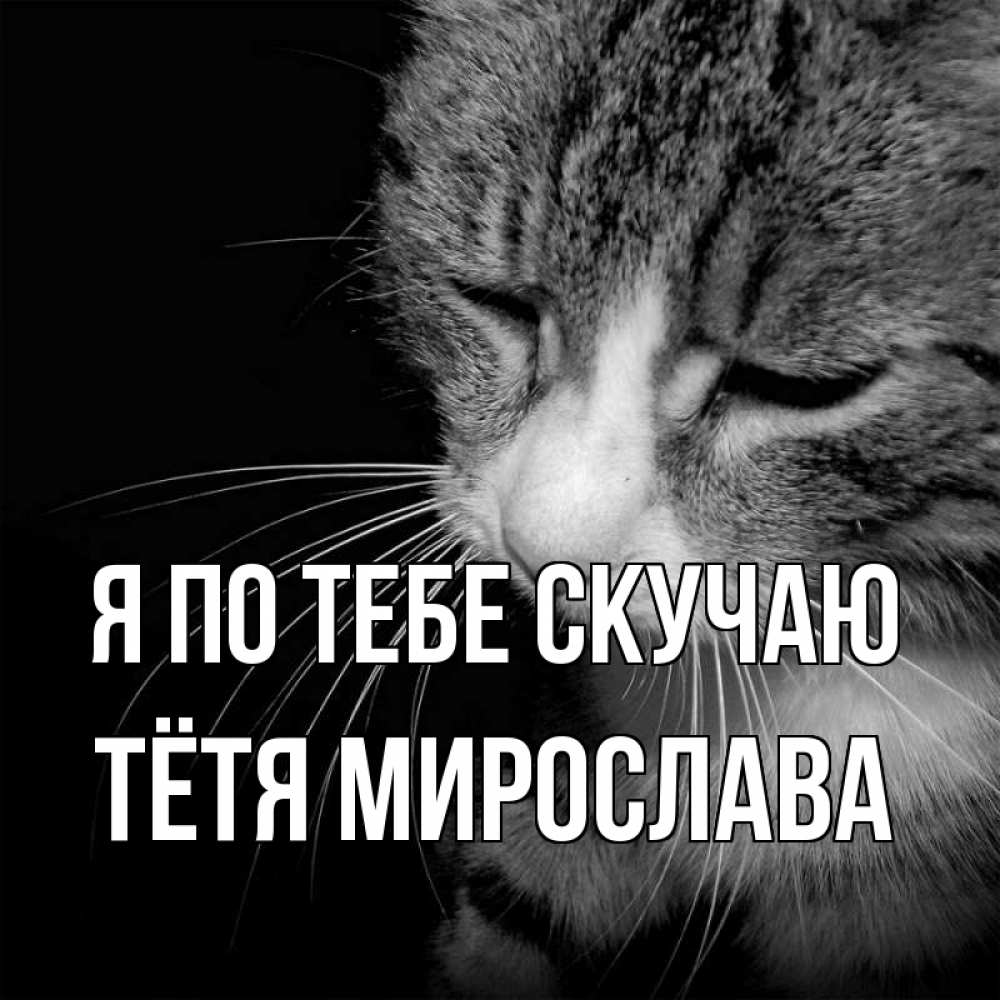 Открытка на каждый день с именем, Тётя-Мирослава Я по тебе скучаю мне скучно Прикольная открытка с пожеланием онлайн скачать бесплатно 