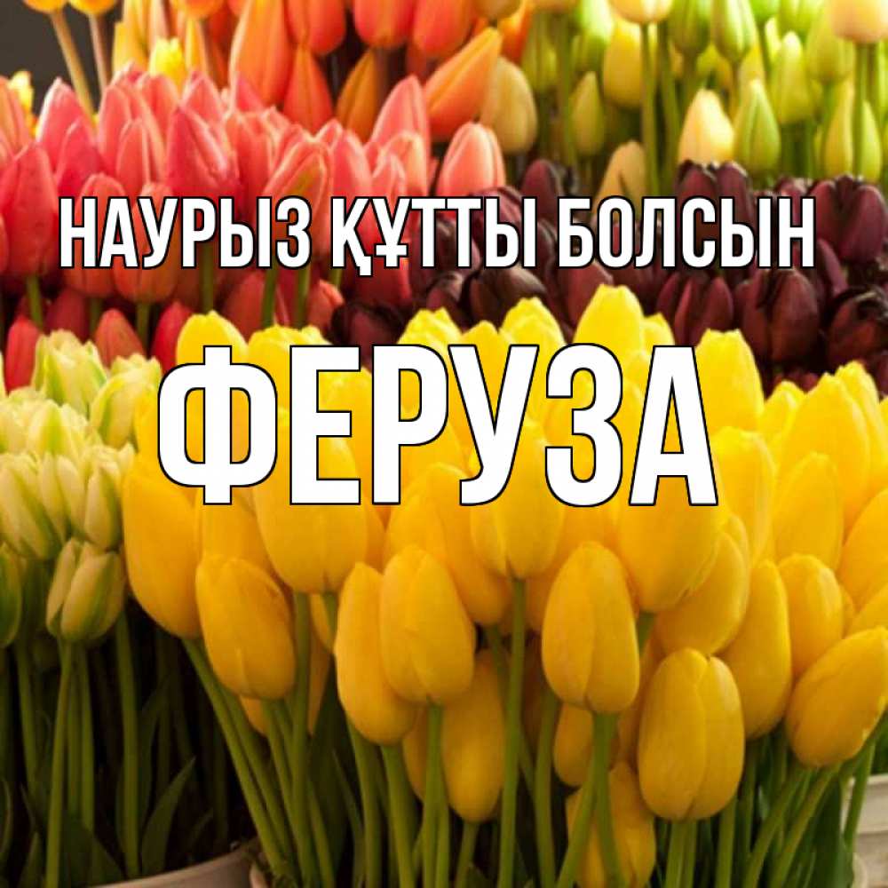 Открытка на каждый день с именем, Феруза Наурыз құтты болсын цветы Прикольная открытка с пожеланием онлайн скачать бесплатно 