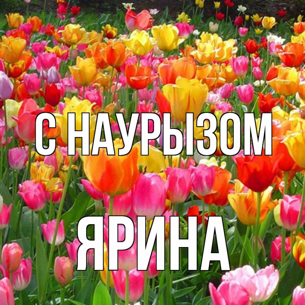 Открытка на каждый день с именем, Ярина С наурызом праздник весны наурыз 4 Прикольная открытка с пожеланием онлайн скачать бесплатно 