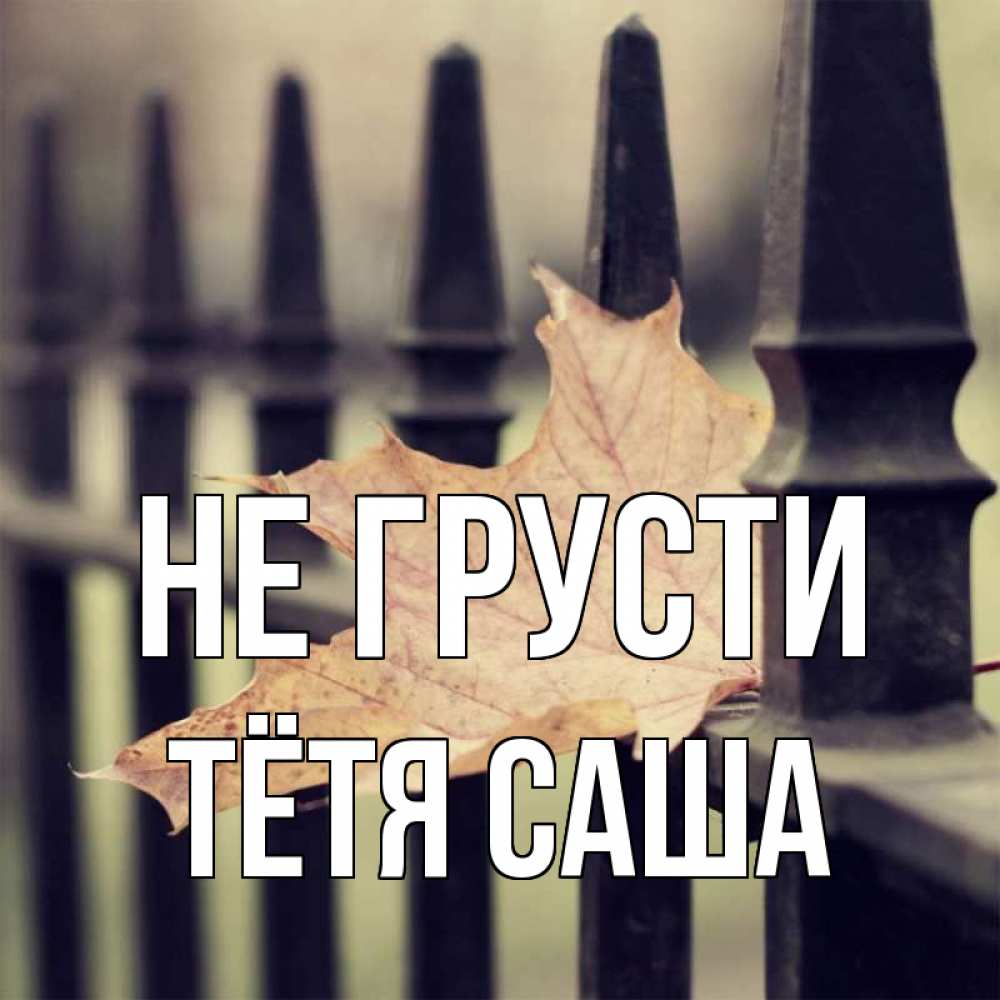 Открытка на каждый день с именем, Тётя-Саша Не грусти лист клена Прикольная открытка с пожеланием онлайн скачать бесплатно 